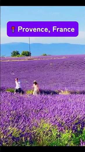 Provence: A Journey Through Lavender Fields & Golden Villages
