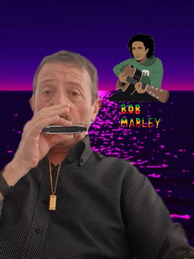 #redemption song #bobmarley #harmonica#armonica #oldiesmusic