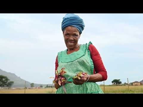 CCBSA Cokeville 2023