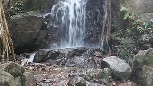 Tropical forest in wintertime, winter runoff low, dried-up river in washed-out rocky bed. Waterfall has dried up but evergreen jungle looks attractive. Winter rainforest with vines. Southeast Asia