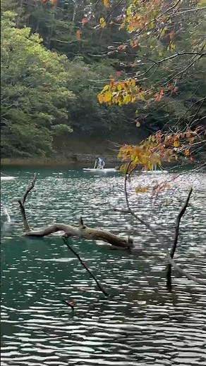 楽しい秋の水遊びができる場所🕹️支笏湖 北海道