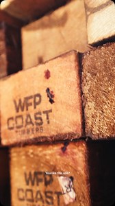 6.9K views · 76 reactions | Episode 3. The Coolest Job We’ve Ever...