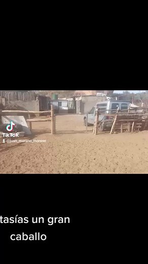 Videos de juanmoreno (@juan_caballo_loco) con “sonido original - juanmoreno”