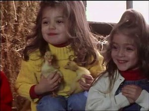 A Little Curious Season 1, Episode 20 Warm, Cool and Heart (June 14, 1999)