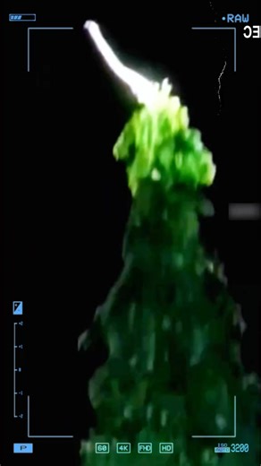 1K views | Can a python turn into a dragon? #wildanimals #animals #foryou | Kiki Animals22 | Facebook