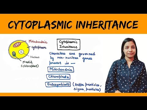 Cytoplasmic inheritance | Maternal Inheritance | Maternal Effect