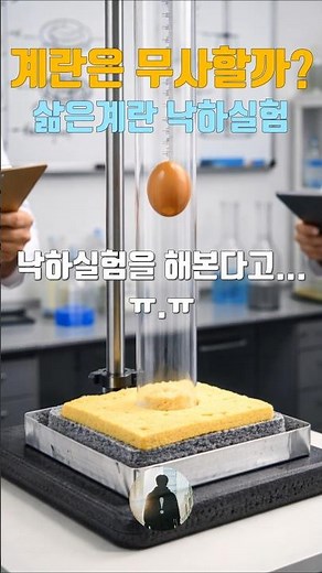 삶은 계란 자유 낙하 실험 | 과학탐구 #1