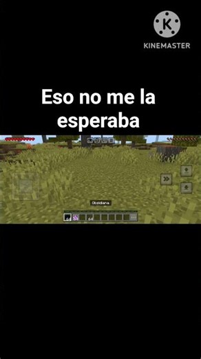 a pues si me insulto #Minecraft #Memes