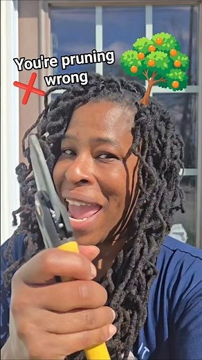 The RIGHT Way to Prune a Fruit Tree (AI Helped Me)