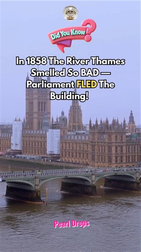 📜 Saturday History | Week 16 — The Smell So Bad It Forced Parliament To Build London's Sewers