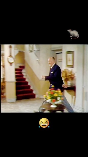 97K views · 9.6K reactions | 藍 Fawlty Towers – “Vermin” Mayhem! One...