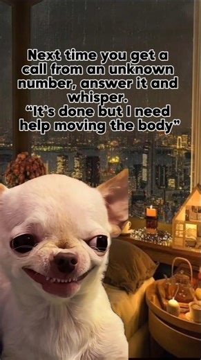 next time you get a random call from an unknown number #funny