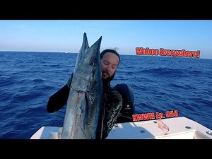 6 Wahoo In 3 Hours | Commercial Spearfishing | Profit Breakdown