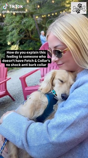 Fetch & Collar on TikTok