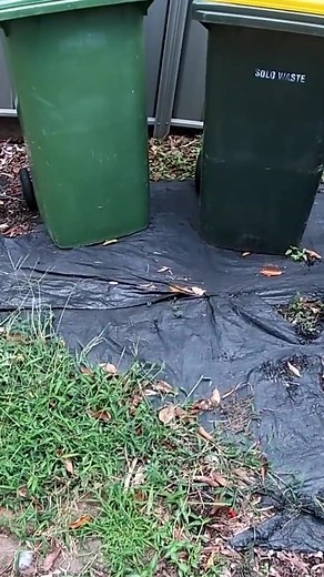 35K views · 558 reactions | Messy grass growing over the concrete needs a quick mow! | Blade Mate Lawn Care | Facebook