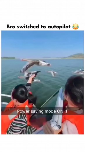 7.3M views · 42K reactions | Memes vs savageness on Reels | Facebook