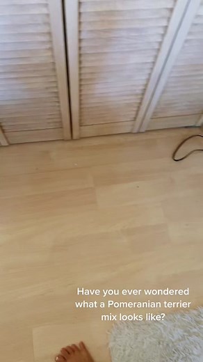 Naomi Ichi on TikTok