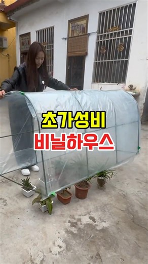 My 'Invincible' Mini Greenhouse Made for 10,000 Won
