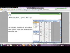 petrel stratigraphic modeling 1