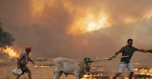 NOAA says 2021 was one of the hottest years on record