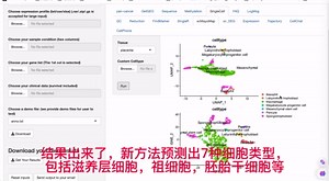 125. scMayoMap单细胞注释神器