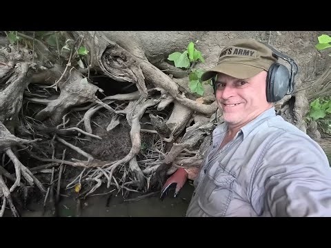 The Day I Discovered The Beaver Hole