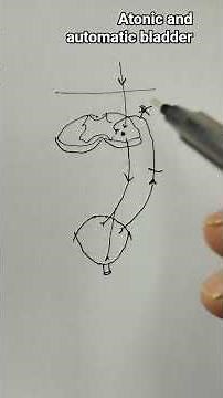 Atonic and automatic bladder