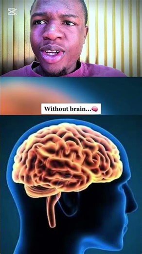 I Reacted to the Creepiest & Most Disturbing Videos on the Internet