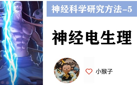 【神经科学研究方法-5】神经电生理