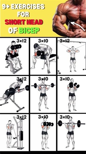 Top 9 Exercise For Short Head of Bicep #workout #bicepsworkout
