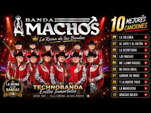 Banda Machos - Puras Rancheras | Los Éxitos Dorados de Banda Machos