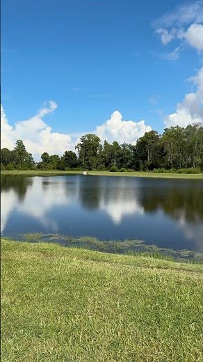 🚶‍♂️ Walking Trails 🚶‍♂️ Medley at Angeline Land O Lakes, FL #floridarealestate