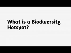 What is a Biodiversity Hotspot ?