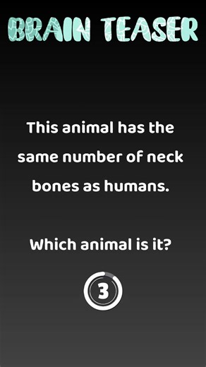 Fun Brain Teasers With Real Facts | Critical Thinking Test | Smart Thinkers Only