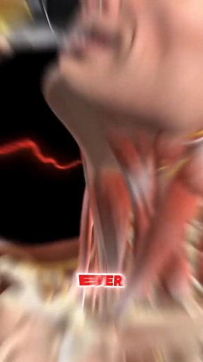 2.3K views · 48 reactions | Ever wonder if drinking beer could actually be good for you? So here are five science-backed health benefits of drinking beer #drinkbeer #beer #drinkingbeer #drink Health Tips 2.0 | Health Tips 2.0 | Facebook