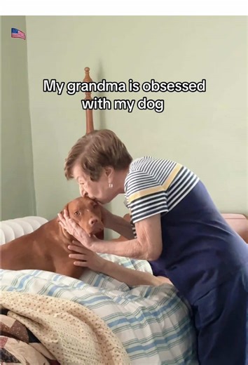 The Heartwarming Bond Between Dog and Grandma