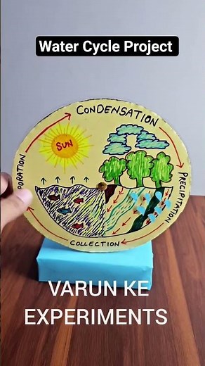 Water Cycle Model | School Science working project #science #shorts #project #ytshorts #trending