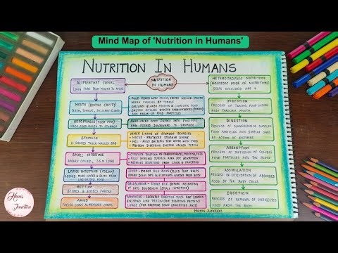 Nutrition in Humans Class 10 Mind Map