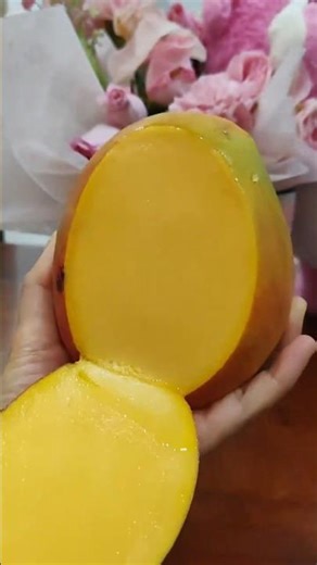 The Most Perfect Mango Slice! 🥭🔪 Pure Satisfaction! #Mango #FruitCutting #ASMR #Satisfying #Shorts