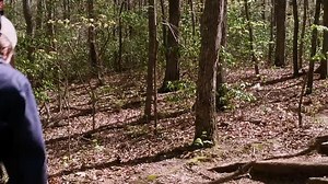 A.Walk.in.the.Woods.2015