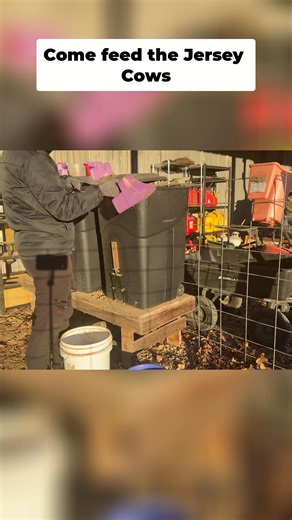 🐄 Beef Cattle vs. Dairy Cattle: What’s the Difference? 🥛 While both are cattle, beef and dairy animals are raised with very different goals in mind, which changes how they’re managed day to day. Beef cattle are typically managed for growth and body condition. They spend most of their time on pasture with routine health checks, mineral access, and fencing management. The work is spread out over months or years, with the end goal being meat production. Dairy cattle are managed for ongoing produc