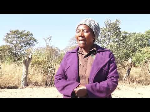 Livestock farming in ZAMBIA - interview with a successful lady farmer in a male dominated field