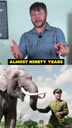 Elephants Live a Long Time