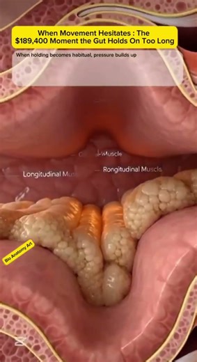 When Movement Hesitates: The $189,400 Moment the Gut Holds On Too Long