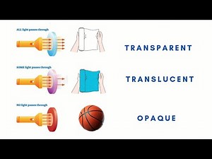 Identifying Transparent, Translucent, and Opaque Objects | SCIENCE 5 | Science Experiment