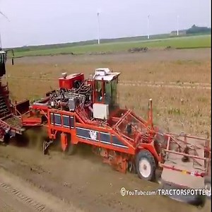 Harvesting Tulip Bulbs | Extreme Machines