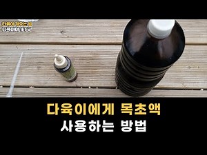 다육이에게 목초액 어떻게 사용해야 하나요? 효능과 사용방법