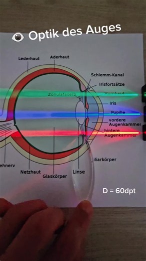 👁 Optik des Auges #physik #optik #auge #medizinstudium