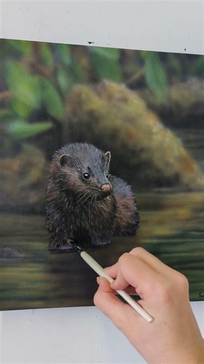 Every species is by you! Who do you want to see? Vote 8 is live now: Common Loon vs Canada Goose