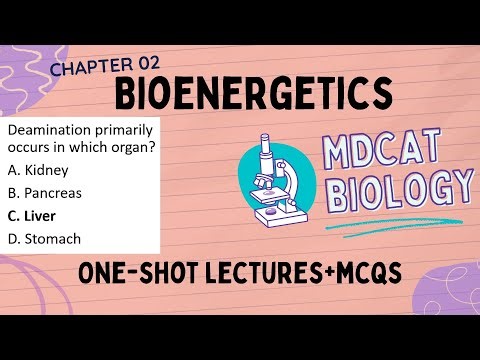 Bioenergetics MDCAT 2025 | One Shot Lecture + Important MCQs | MDCAT Biology Bioenergetics